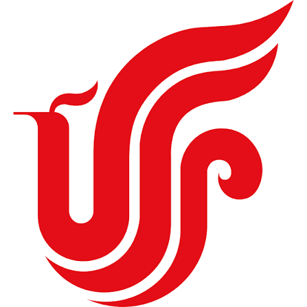 Air China Virtual Airline logo