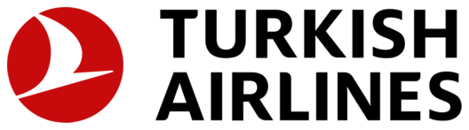 Turkiye Virtual logo